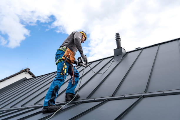 Best Metal Roofing Installation  in USA